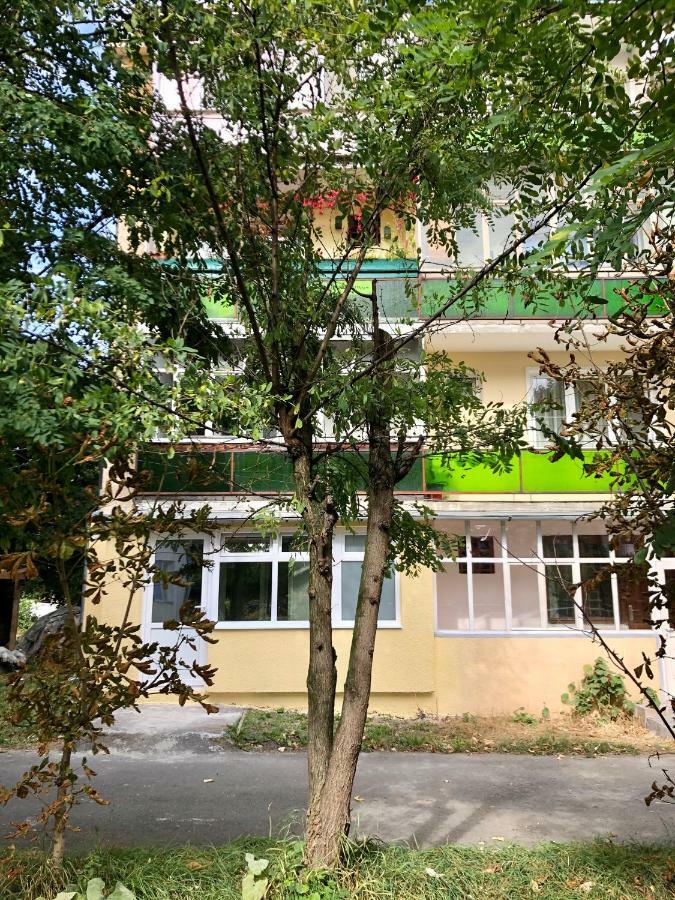 Apartament Toplita Екстериор снимка